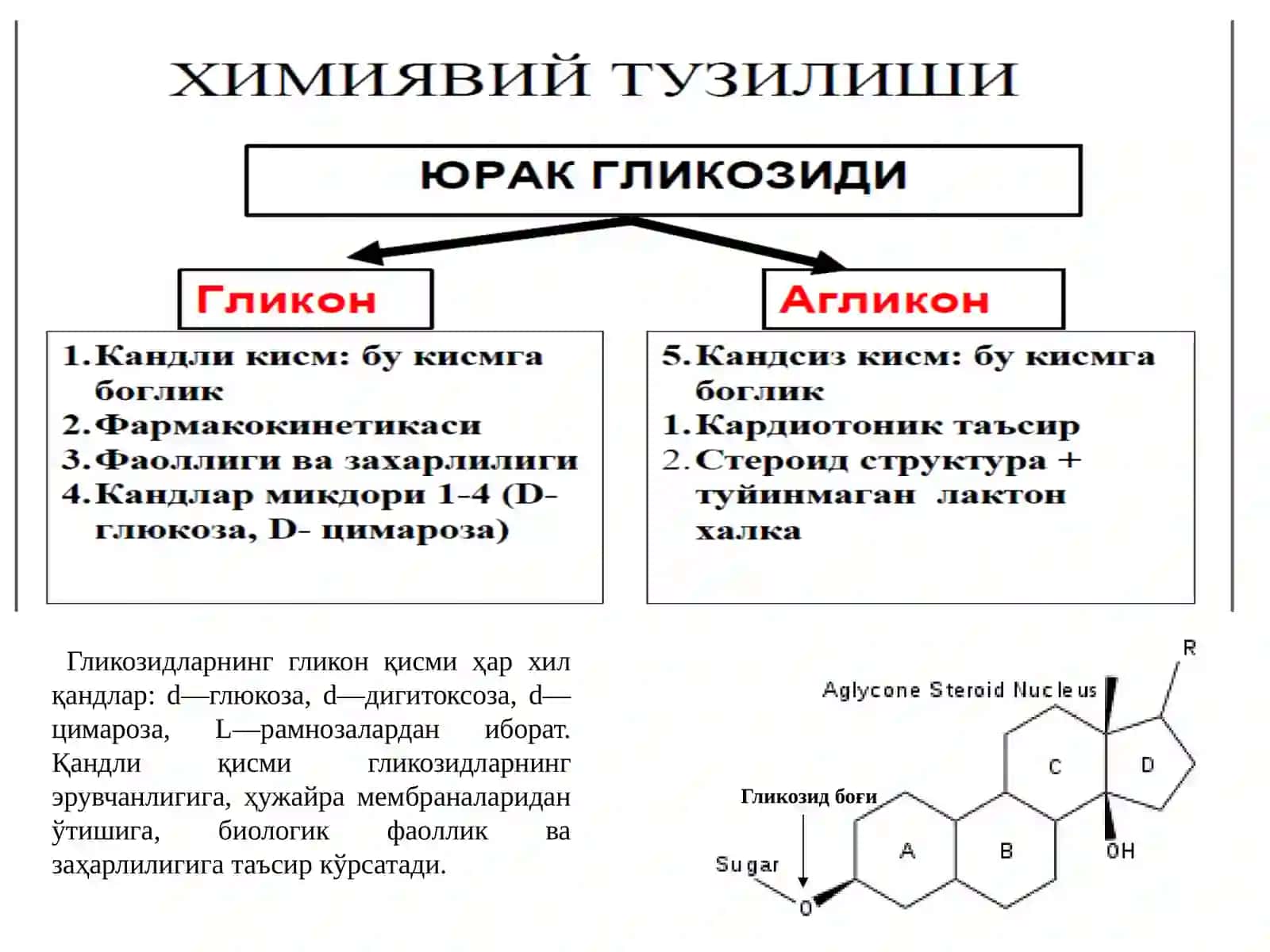 ЮРАК ГЛИКОЗИДЛАРИ 3
