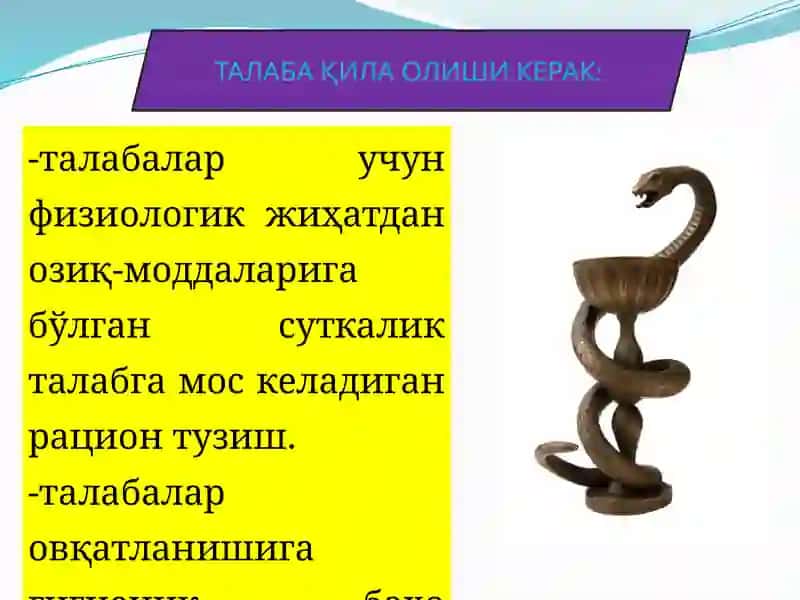 Talabalar ovqatlanishiga gigienik baxo berish 3