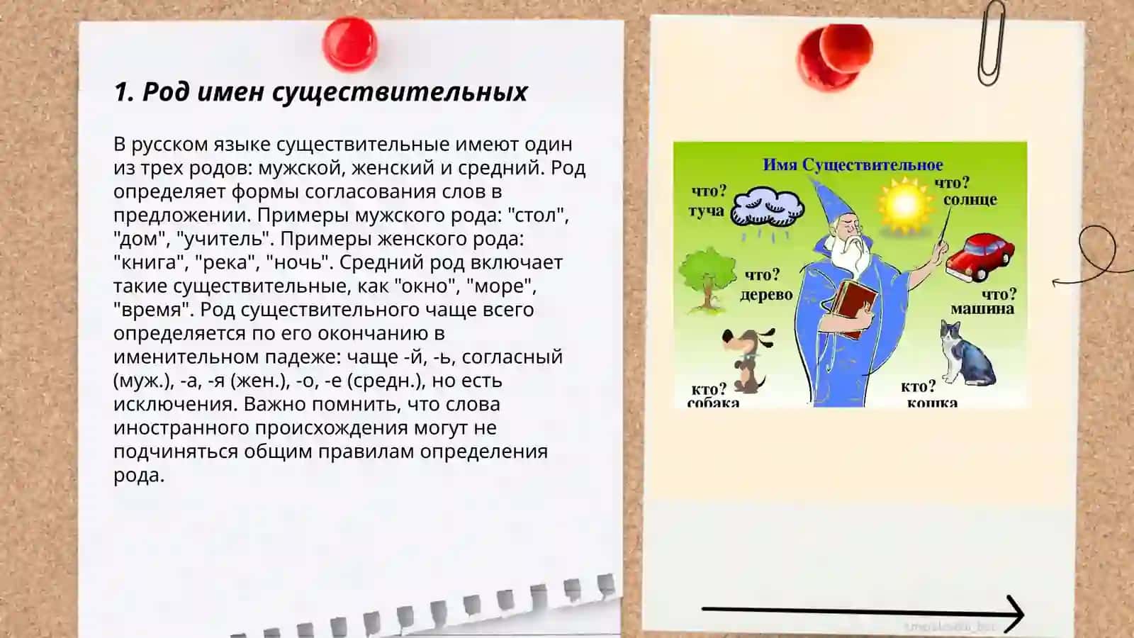 Имя существительное 3