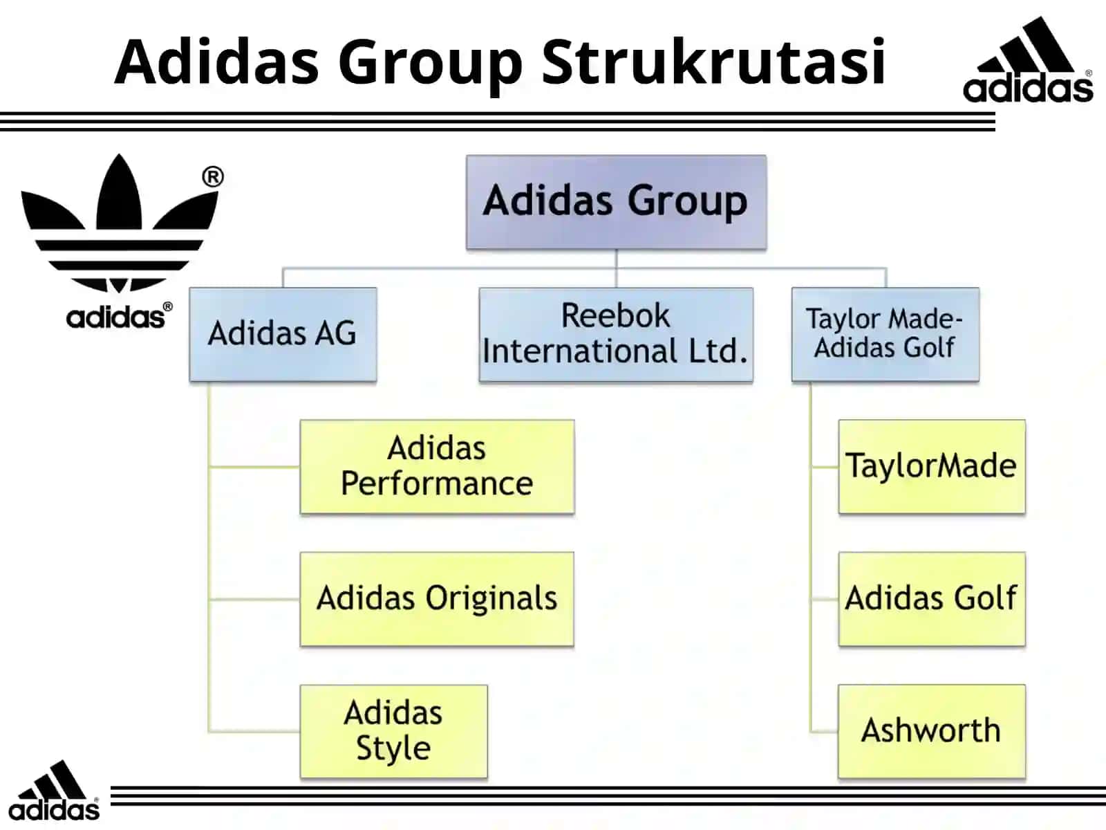 ADIDAS HAQIDA UMUMIY MA’LUMOT 3