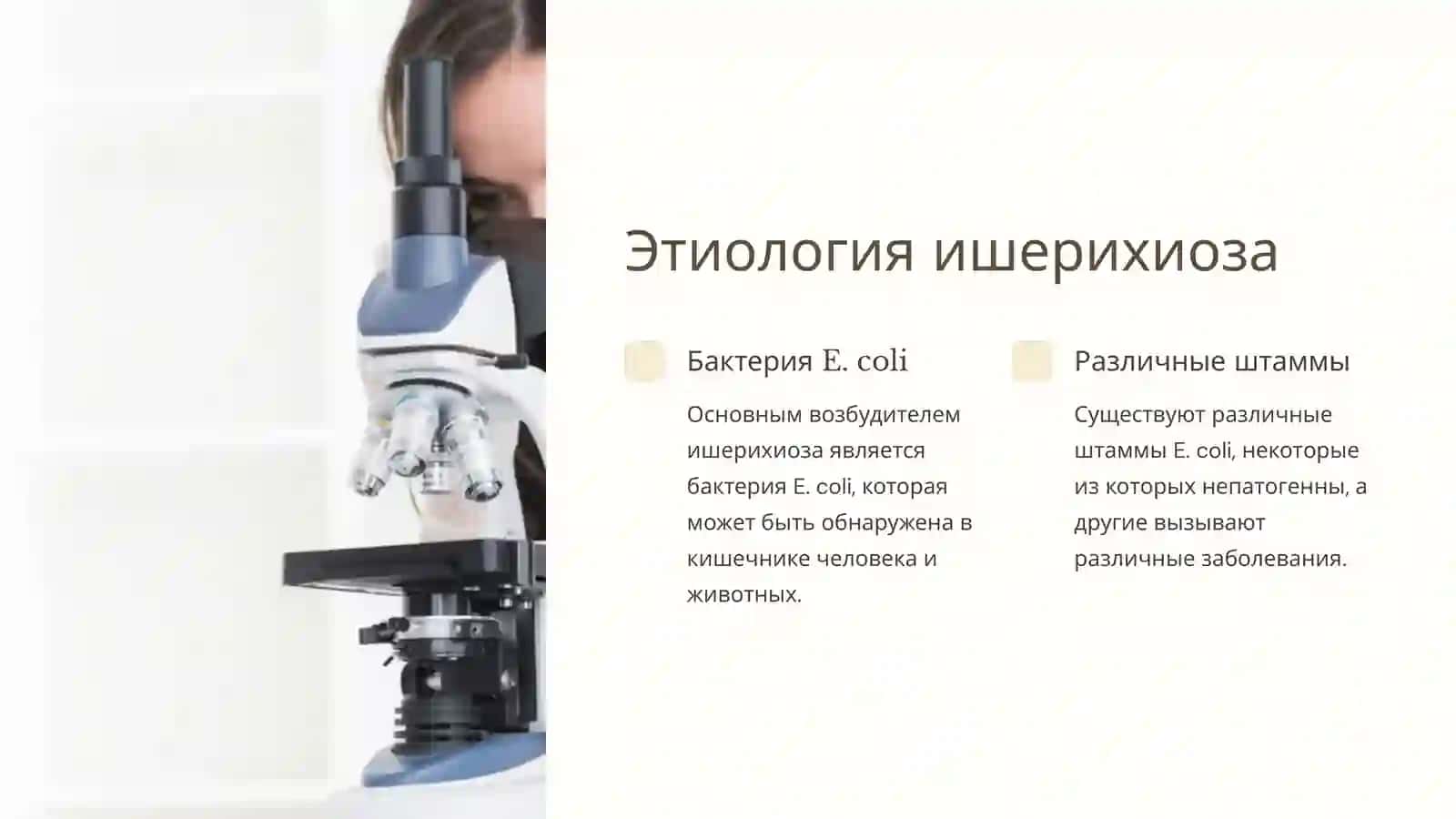 Ишерихиоз: от микробиологии до профилактики 3
