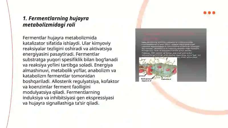 Fermentlarning hujayra metabolizmidagi roli 3