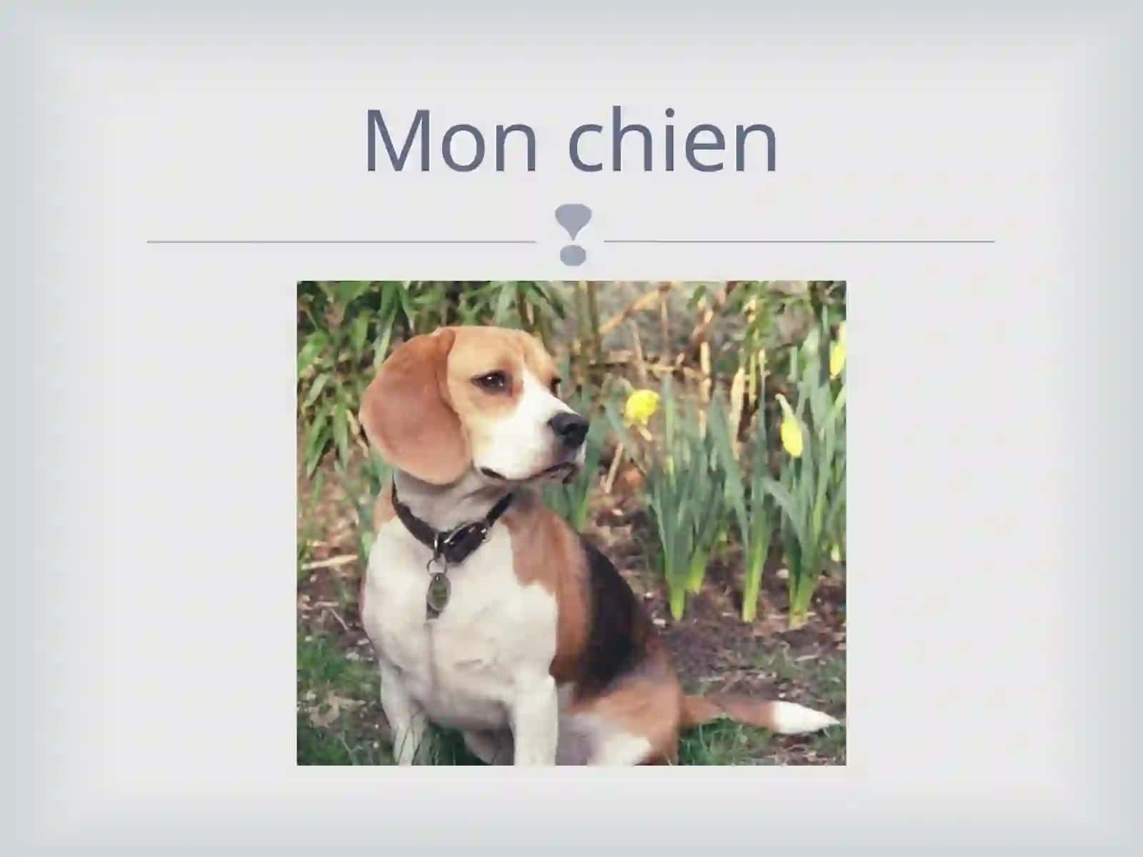 Mon grand-père 3