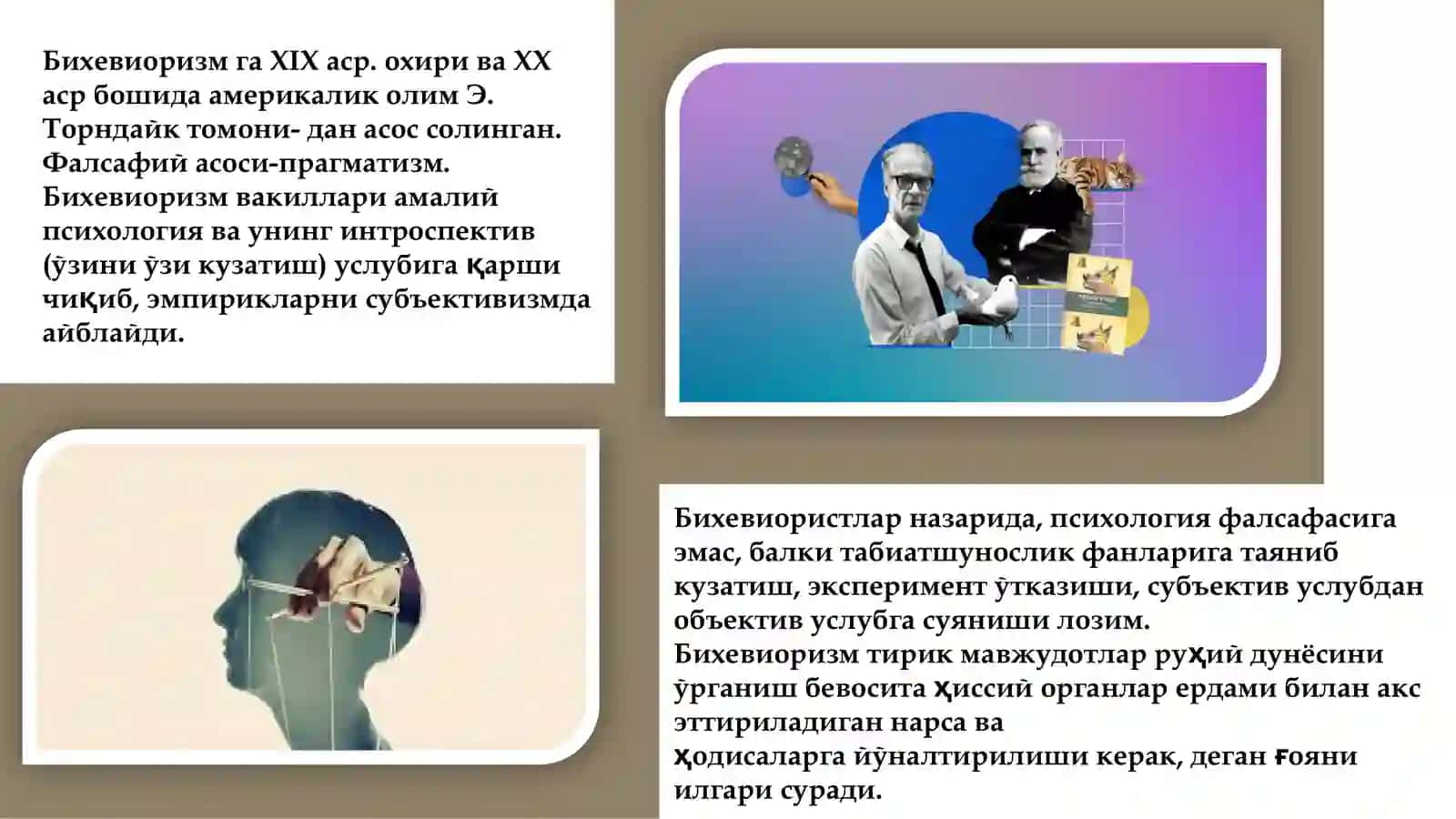 Бихевиоризм 3