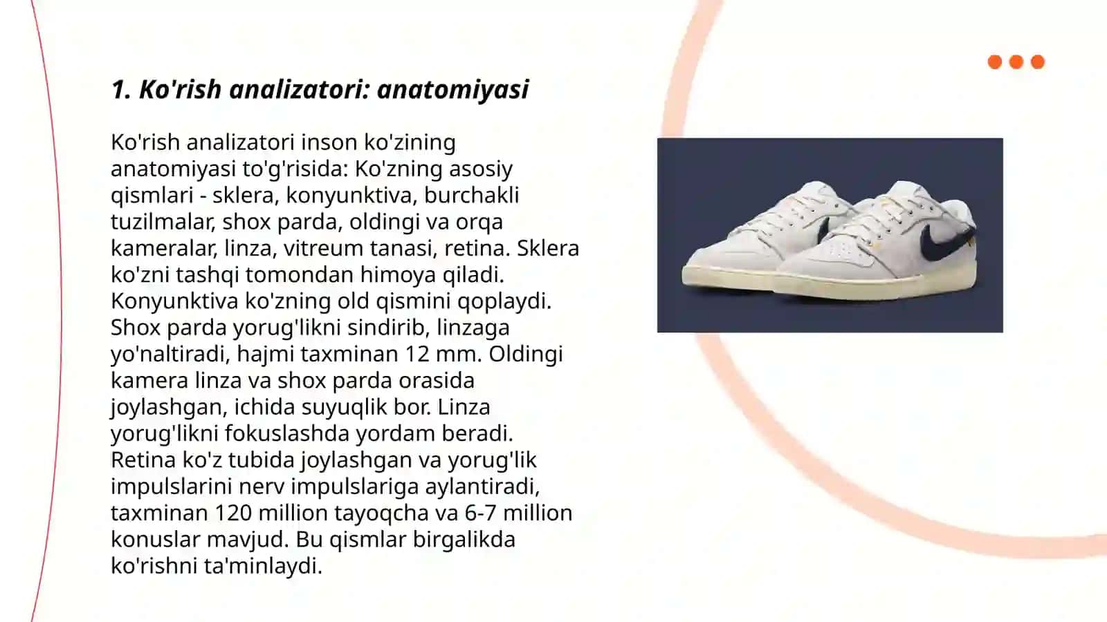 Analizatorlar.Koʻrish va eshitish analizatorlari 3