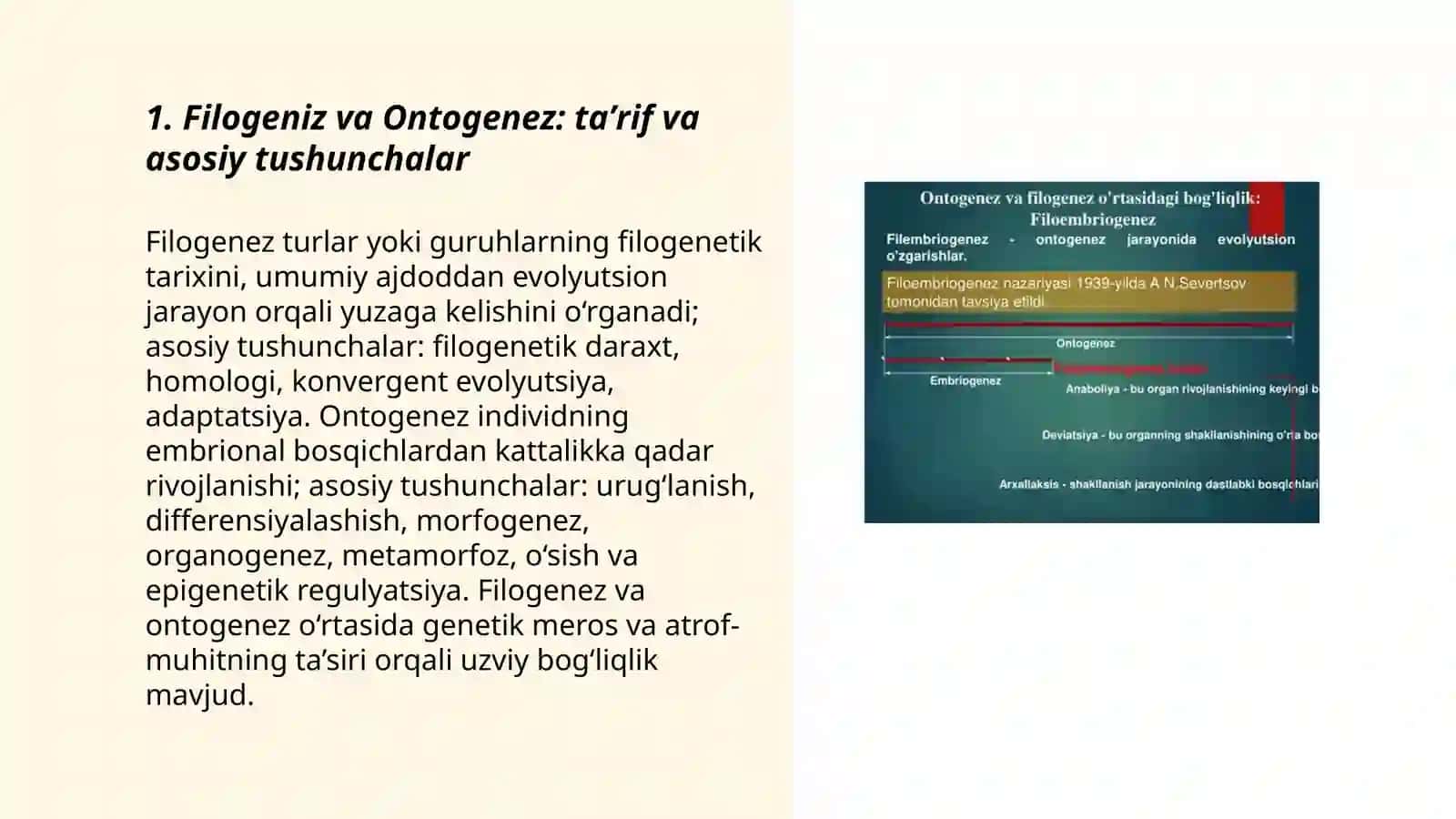 Filogeniz va Ontogenez haqida tushuncha 3
