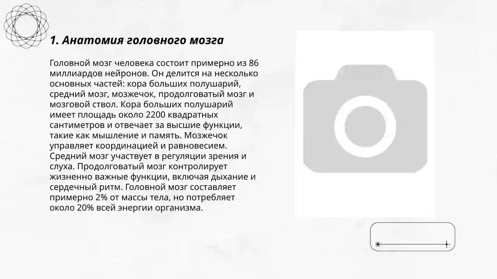 Головной мозг 3