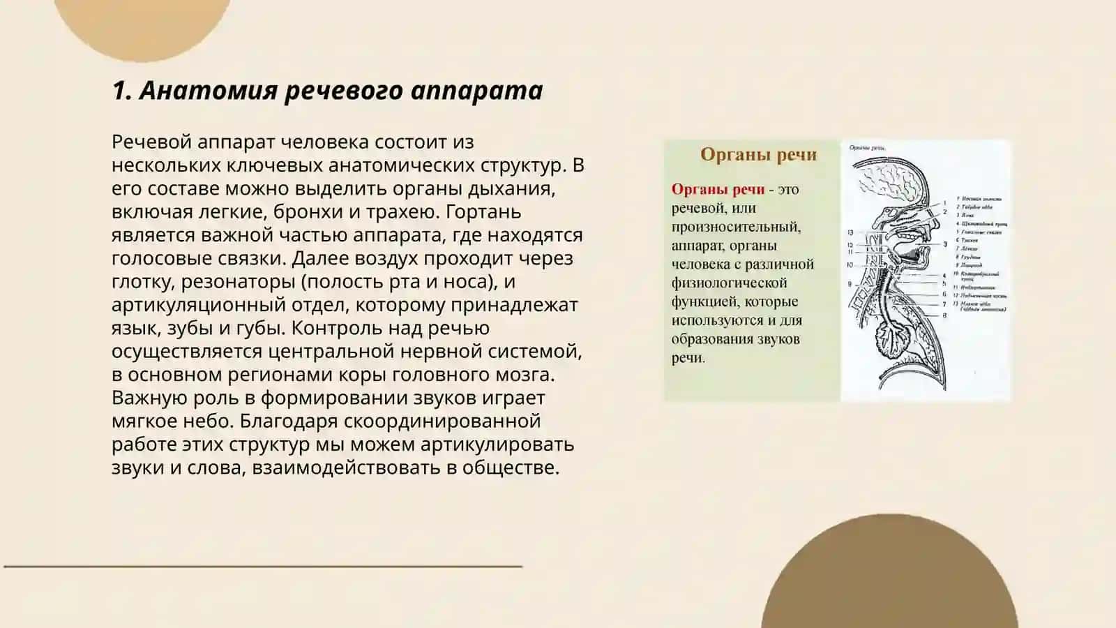 "Речевой аппарат" 3