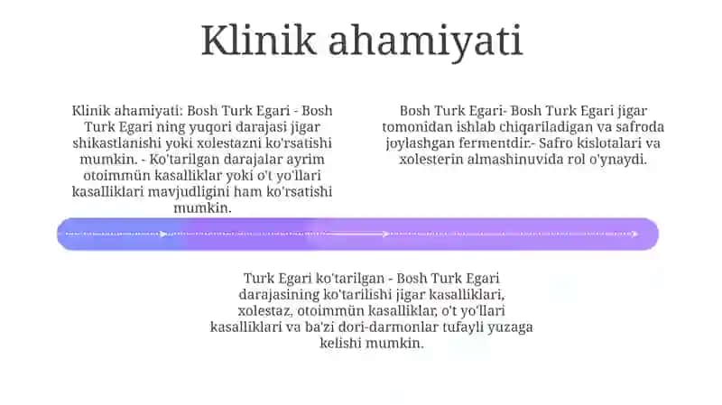 Bosh Turk Egari 3