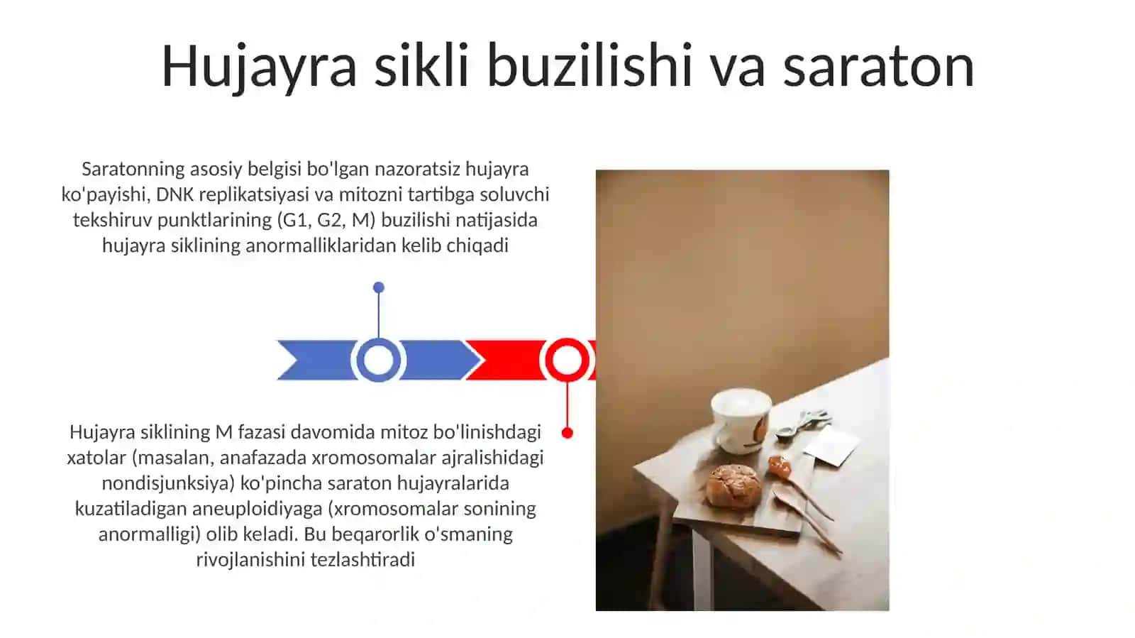 Hujayraning mitotik va hayotiy sirli 3