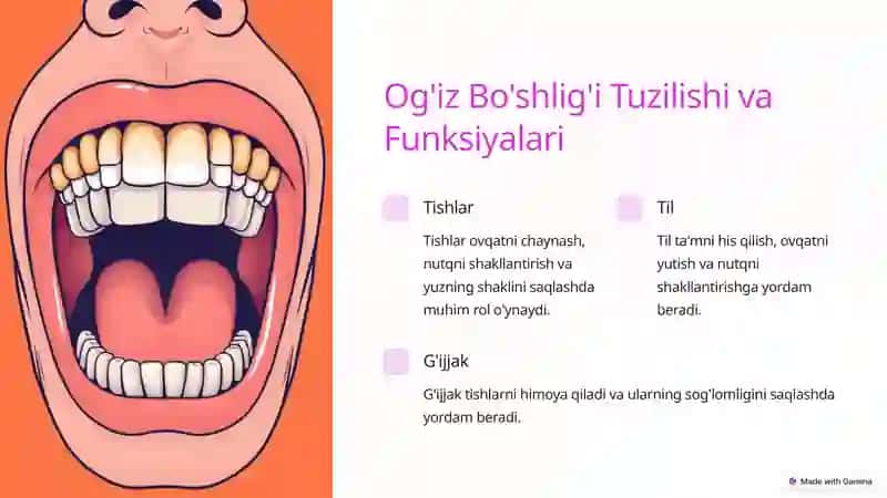 Og`iz bo`shlig`i sog`lig`i 3