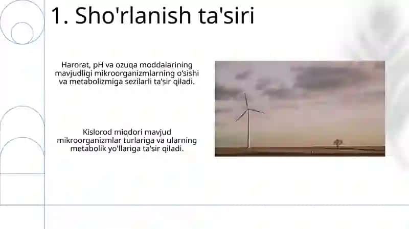 Mikroorganizmlarga tashqi muhit omillari ta'siri 3