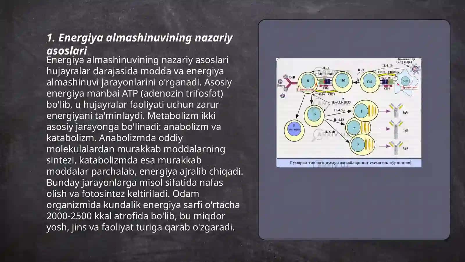 Energiya almashinuvi boshqarilishi 3