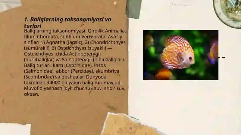Baliqlar 3