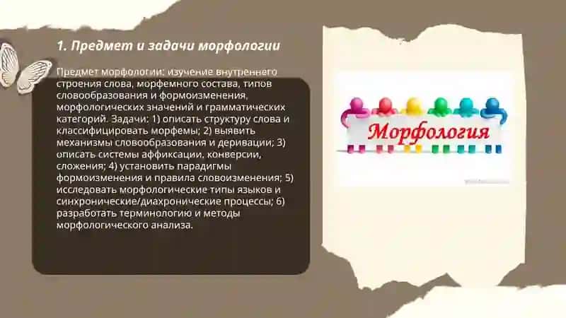 Морфология 3