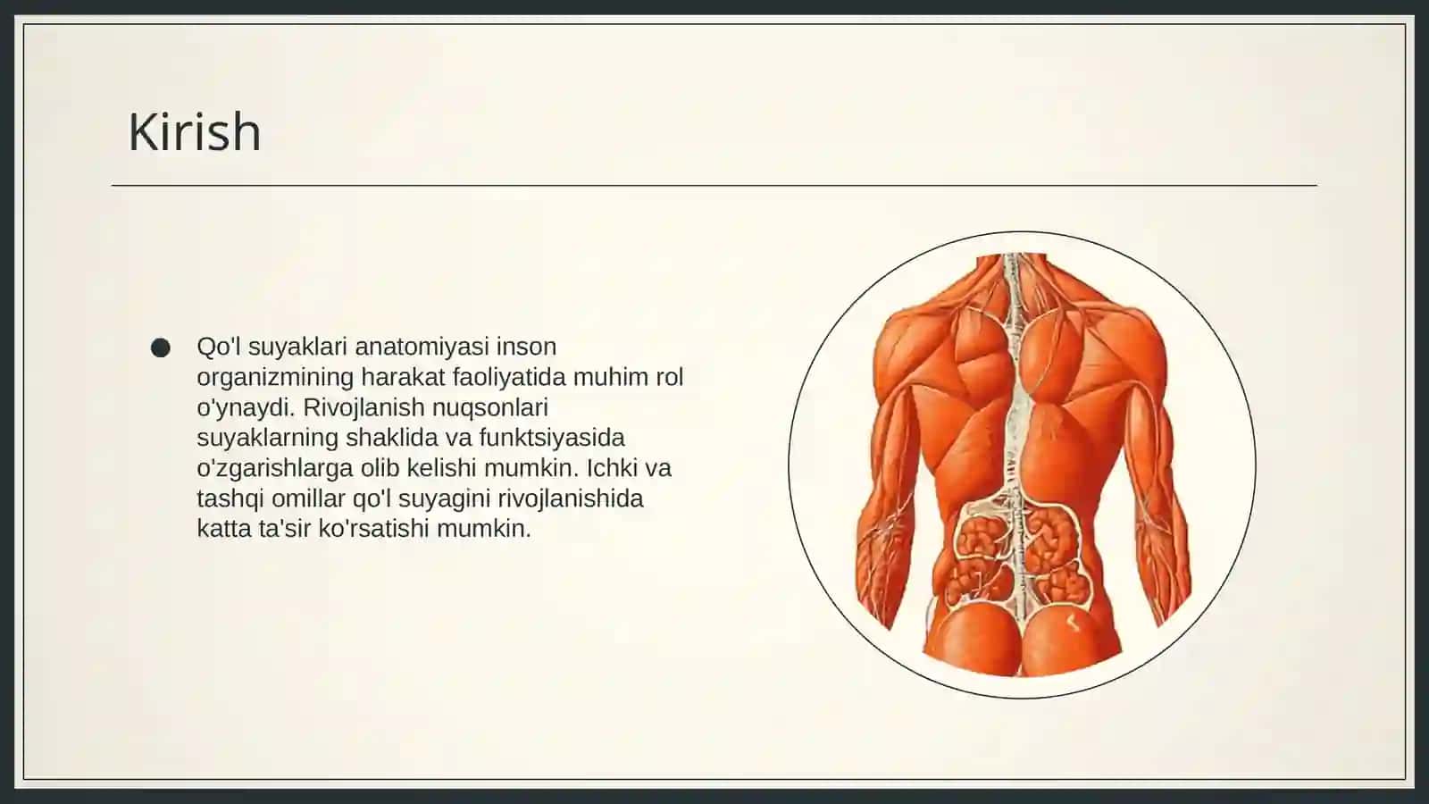 Qo'l suyaklari variantli anatomiyasi 3