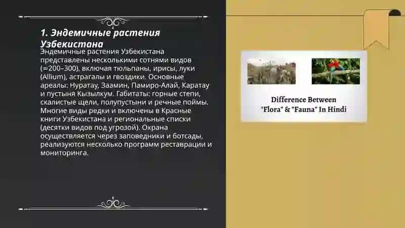 Флора и Фауна Узбекистана 3