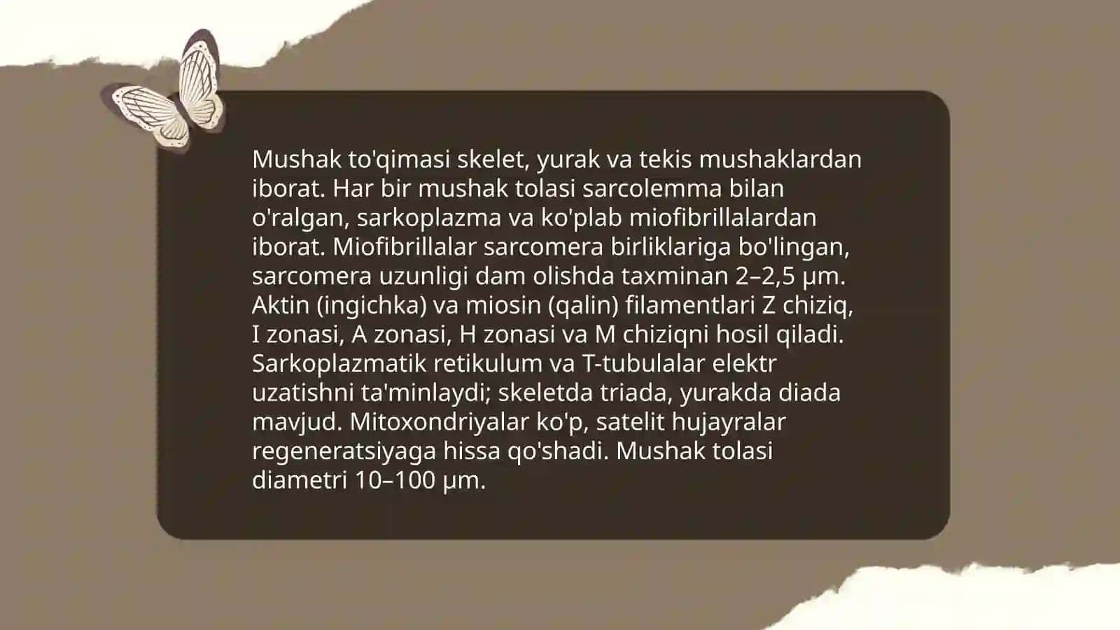 Muskul fiziologiyasi 3