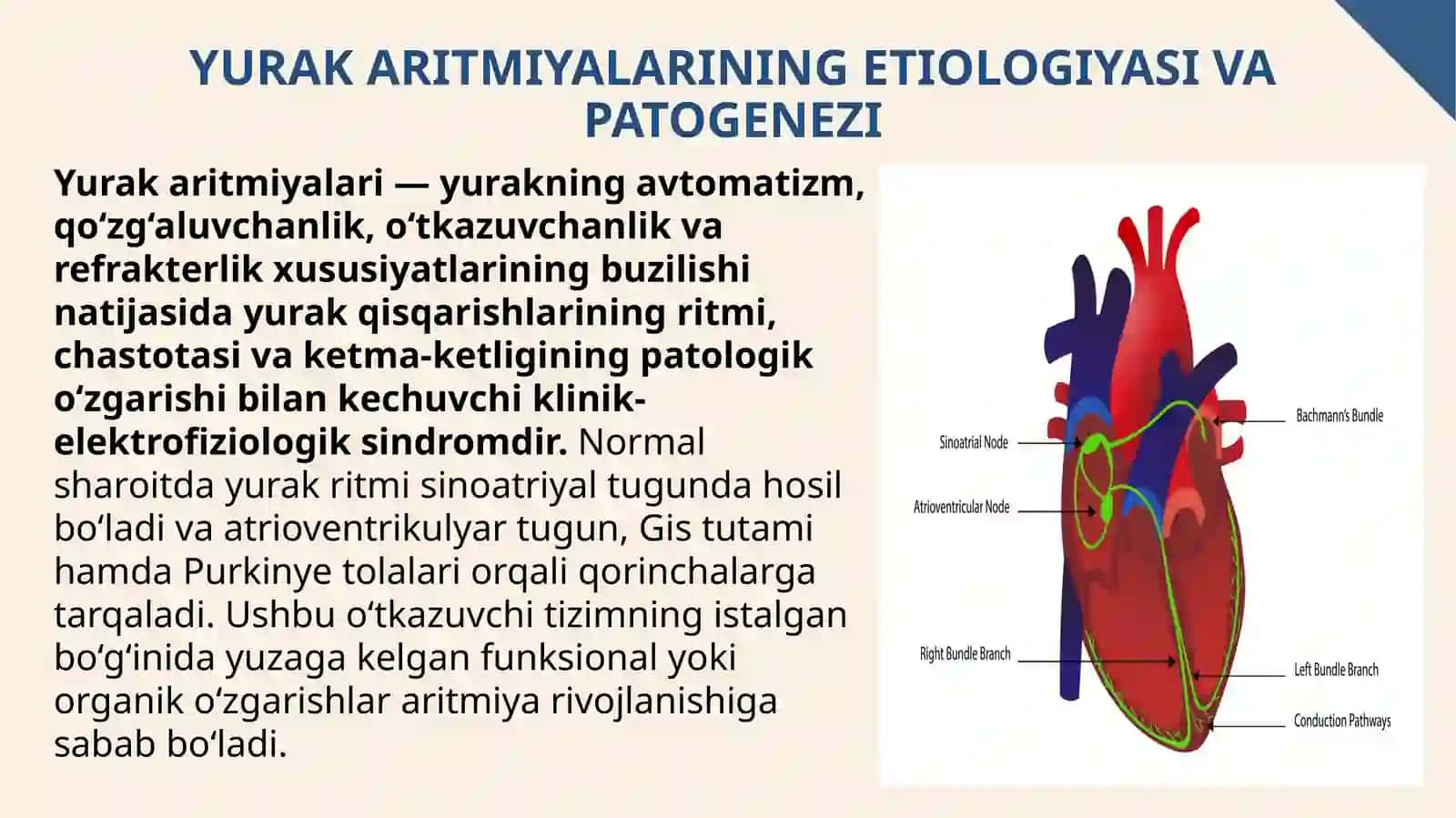 Yurakaritmiyalarini davolash prinsiplari 3