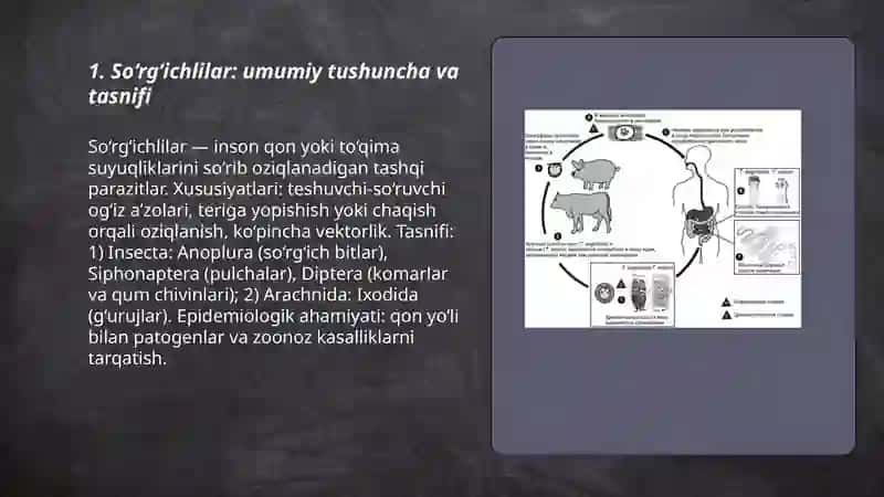 So‘rg‘ichlilar odam parazitlari 3