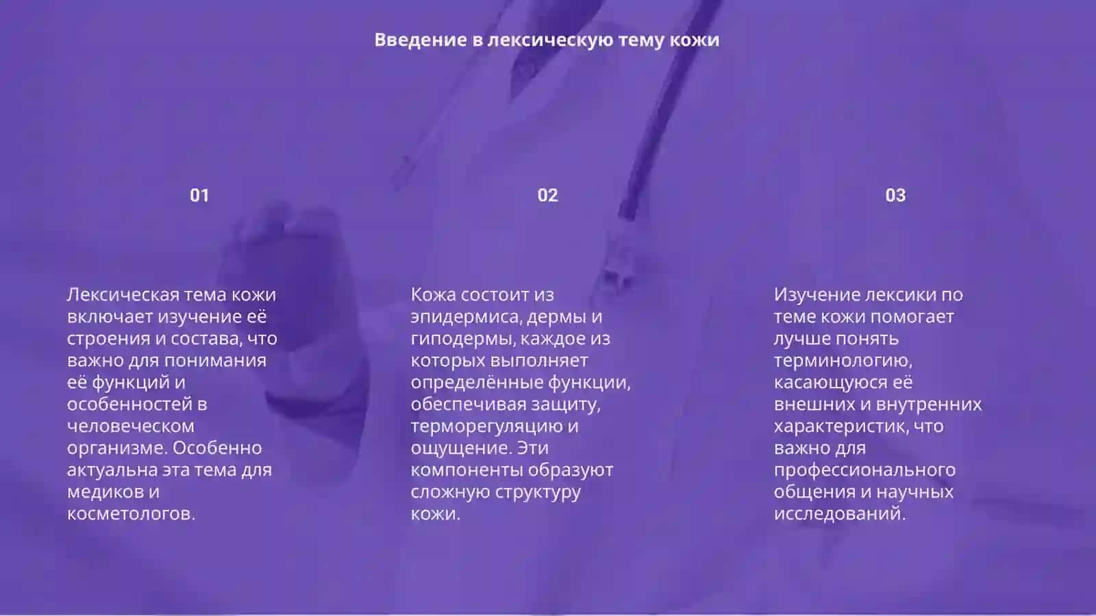 Лексическая тема. Строение и состав кожи 3