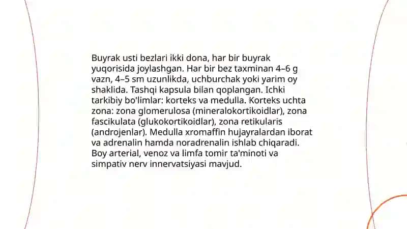 Buyrak usti bezlari 3