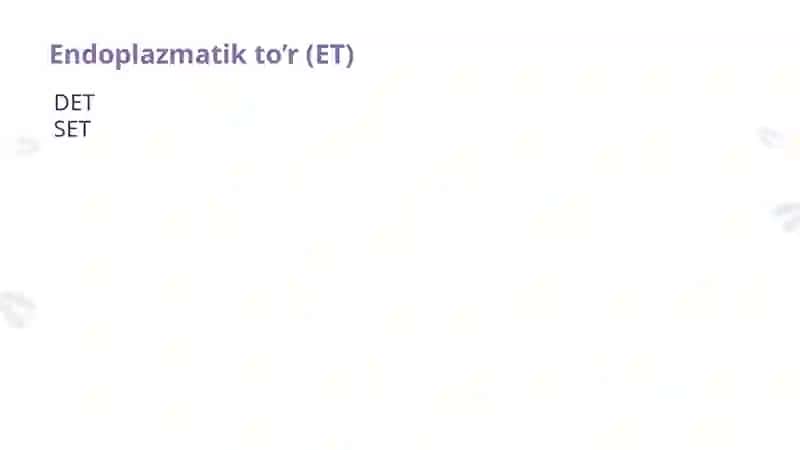 Endoplazmatik to’r Golji apparati 3