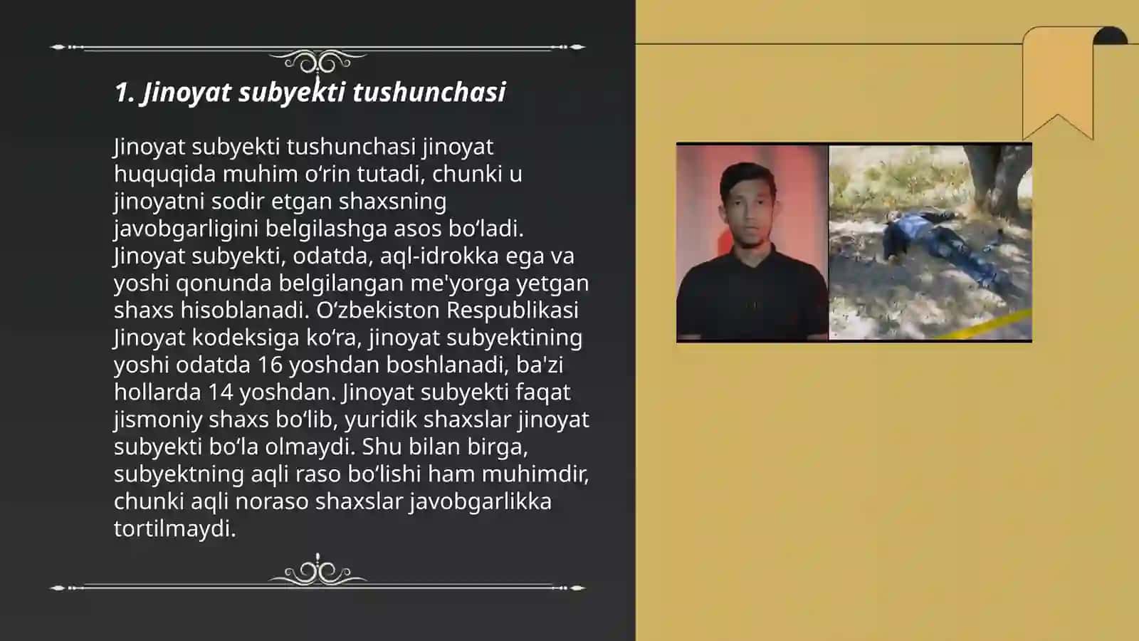 Jinoyat subyekti 3