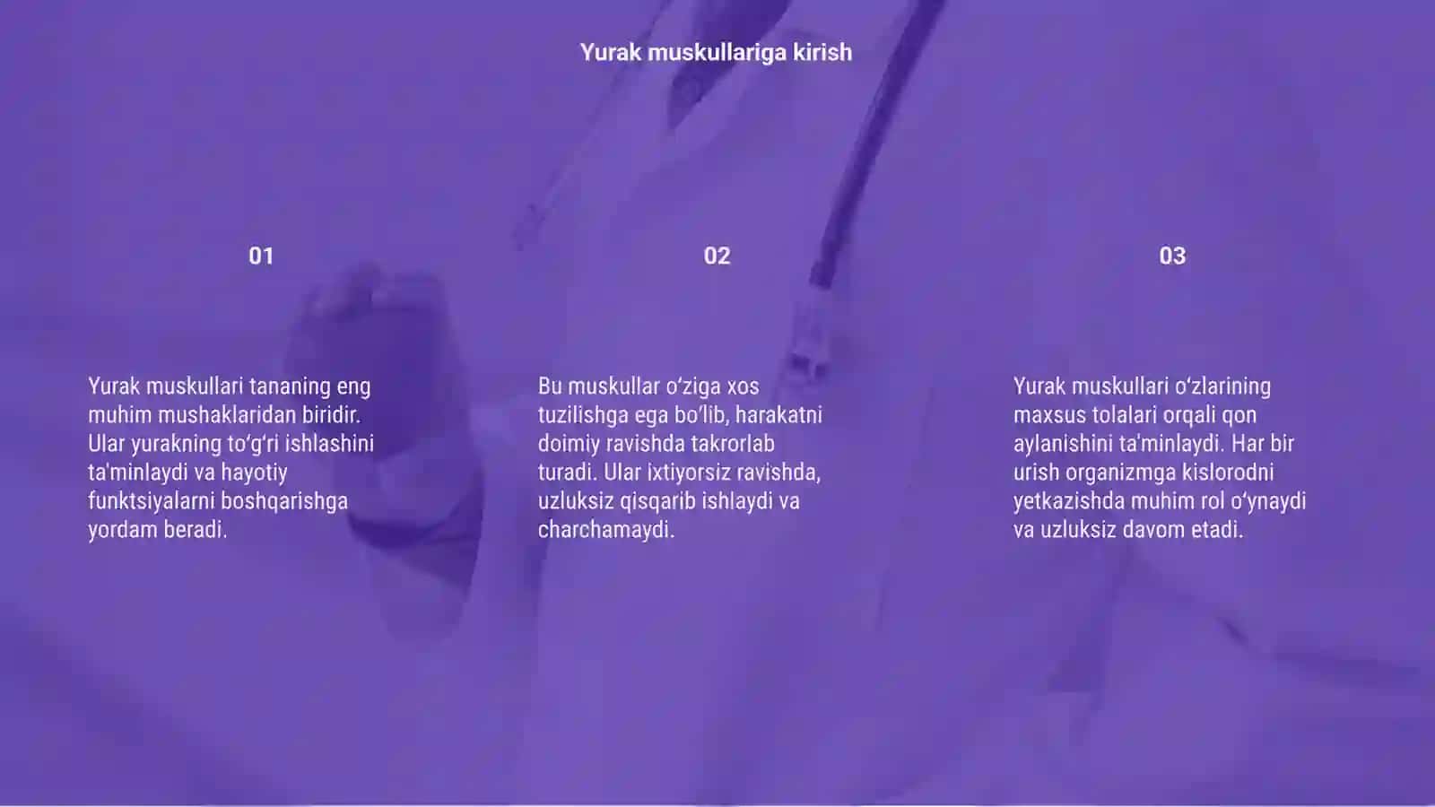 Yurak muskullari 3