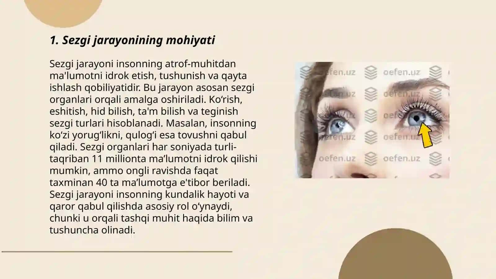 Sezgi jarayoni haqida tushuncha 3