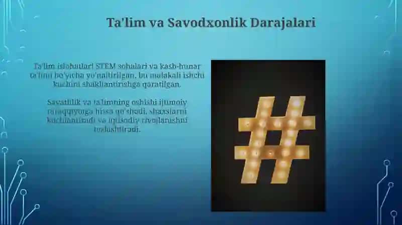 Ta'lim va Savodxonlik Darajalari 3