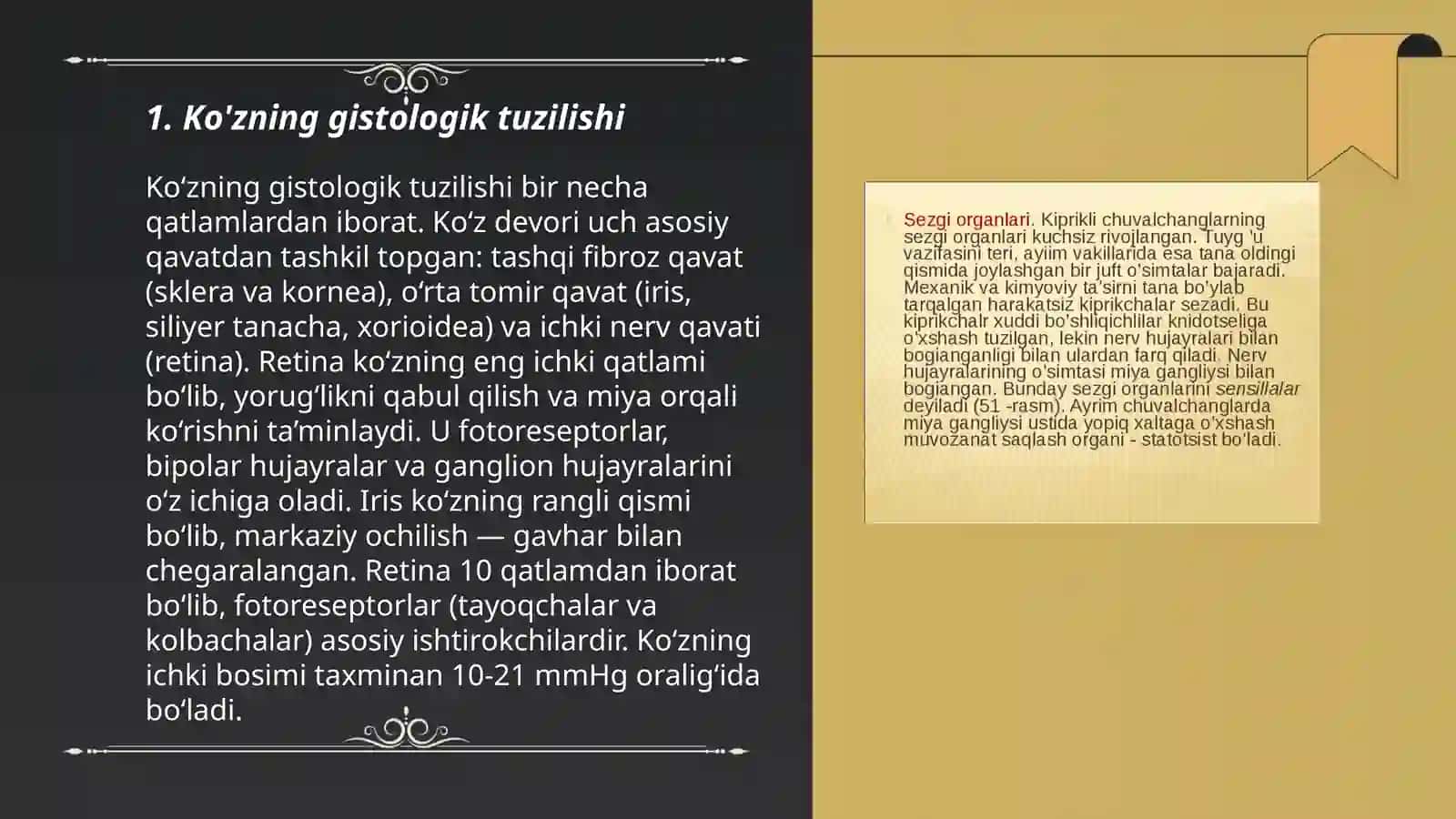 Sezgi aʼzolari gistologiyasi 3
