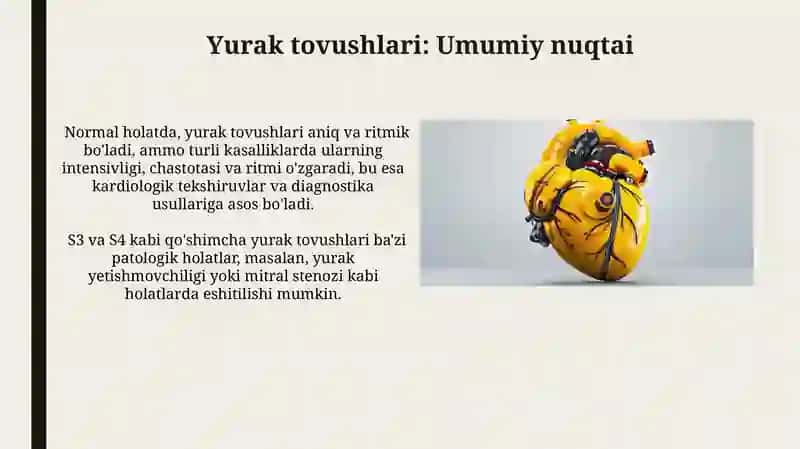 Yurak tonlari va komponentlari shovqin nima 3