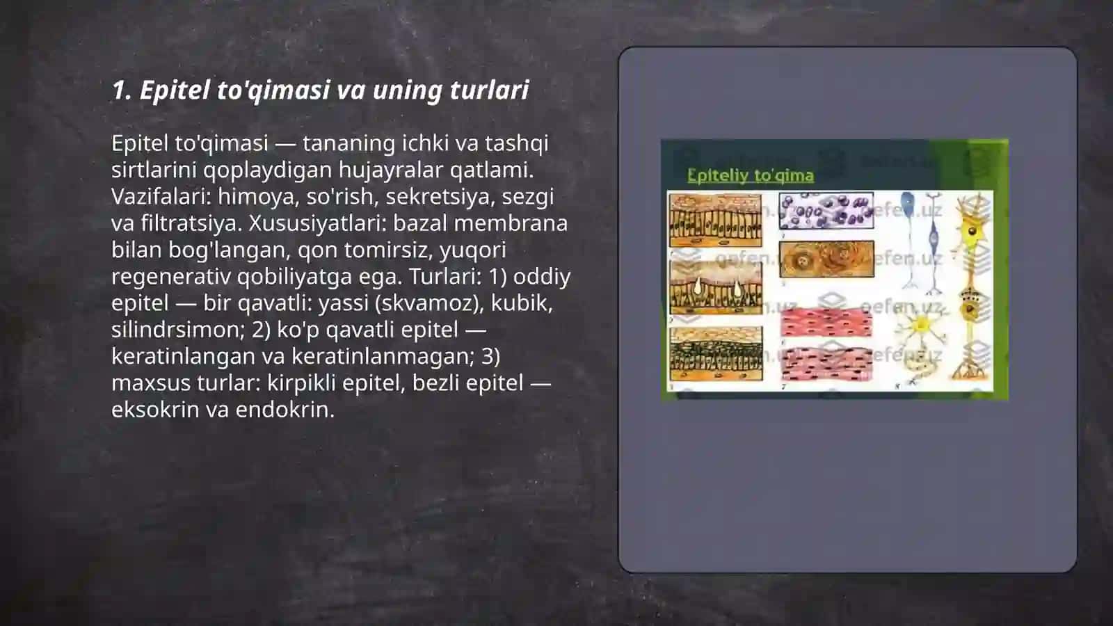 To'qimalar tuzilishi va turlari 3