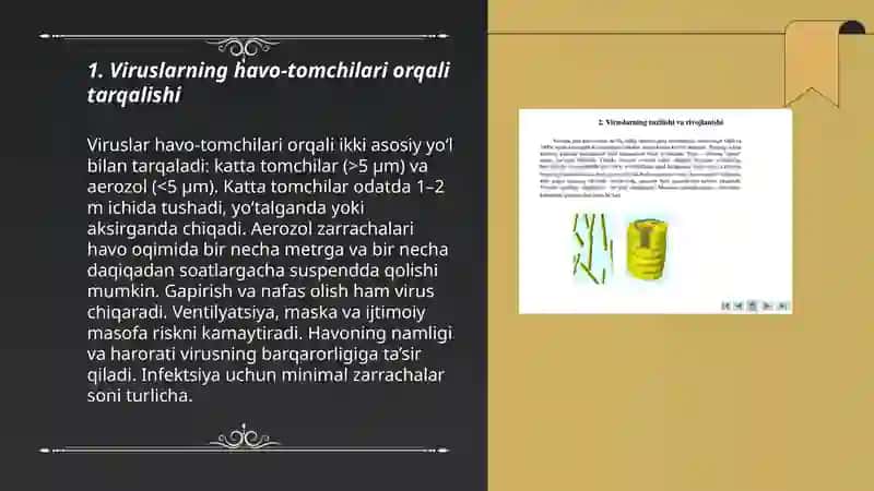 Viruslarning tarqalishi 3