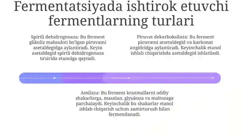 Spirt Ishlab Chiqarishda Fermentlar 3
