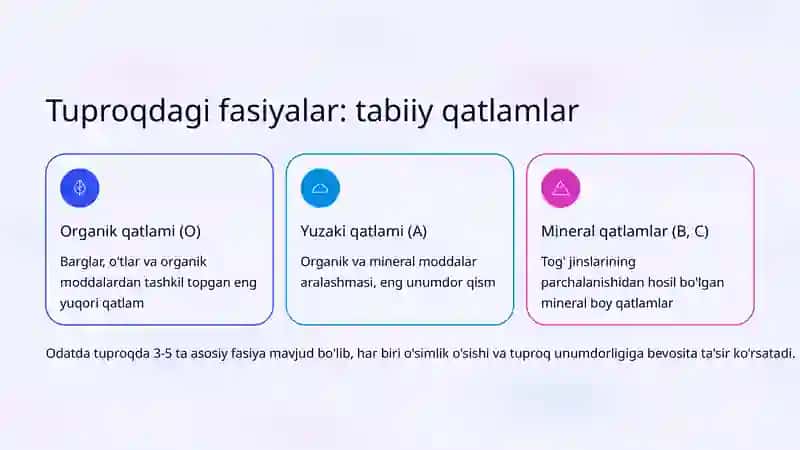 Fasiyalar va ularning ahamiyati 3