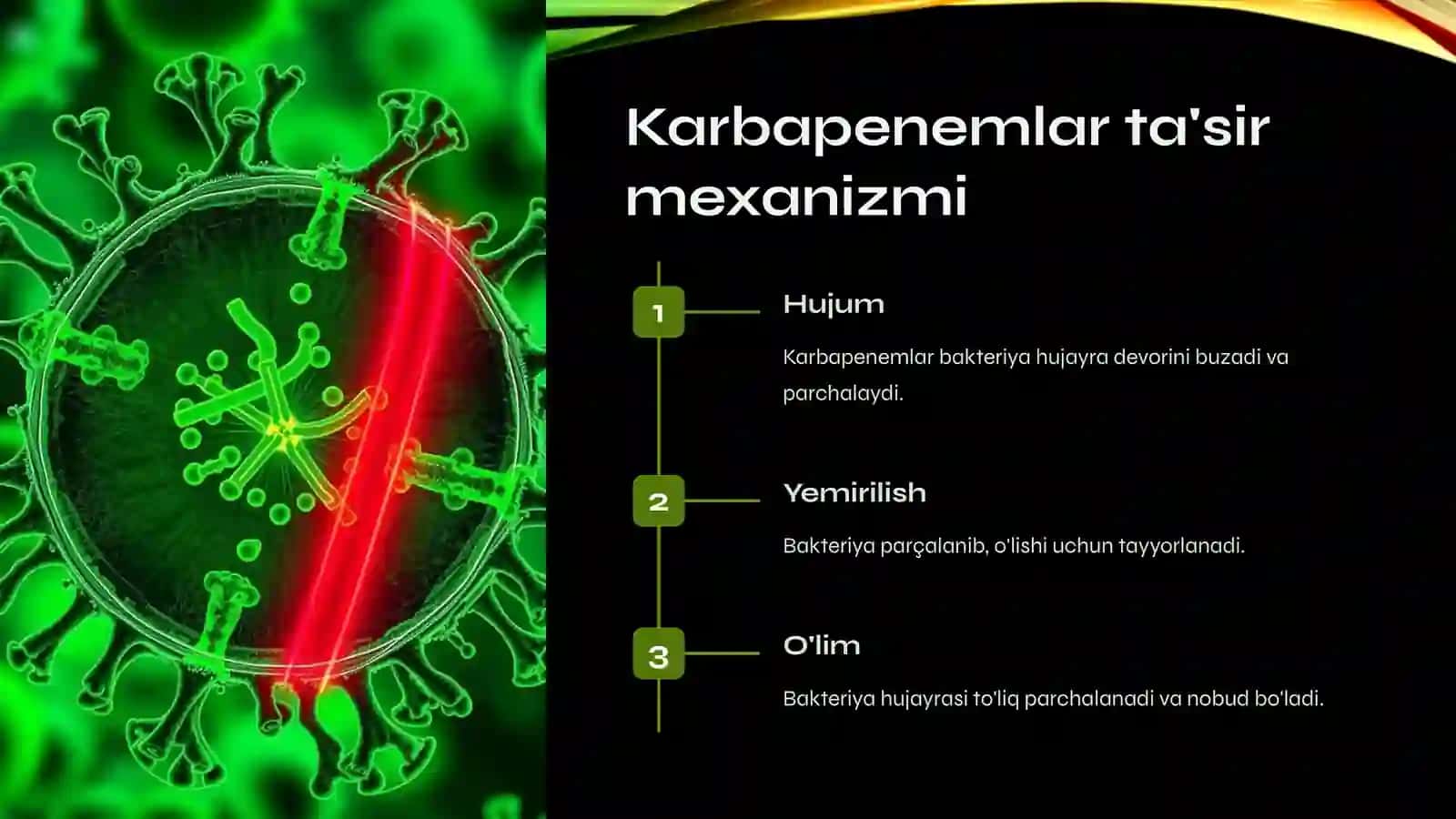 Karbapenemlar 3