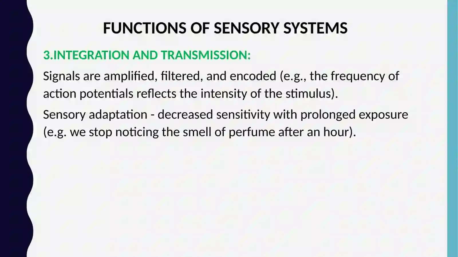 Physiology of Sensory Systems 3