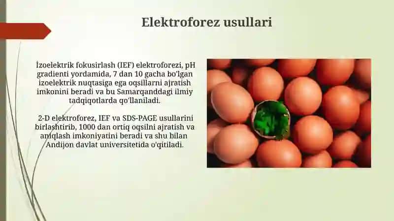 Elektroforez usullari 3