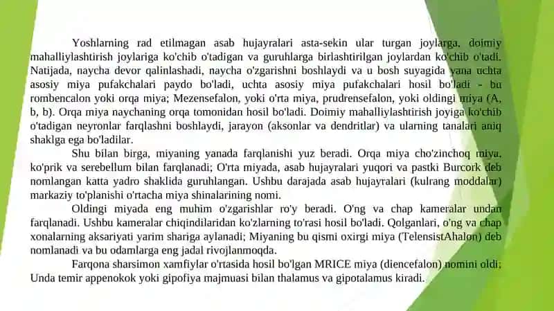 Nerv tizimi Neyron tarmoqlari 3