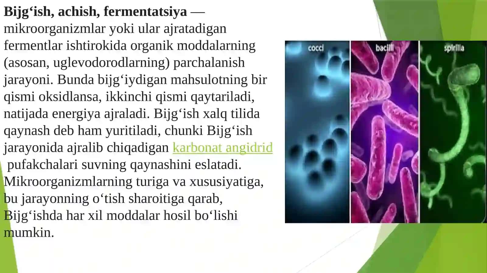 Bijg‘ish mahsulotlarini ishlab chiqarish biotexnologiyasi 3