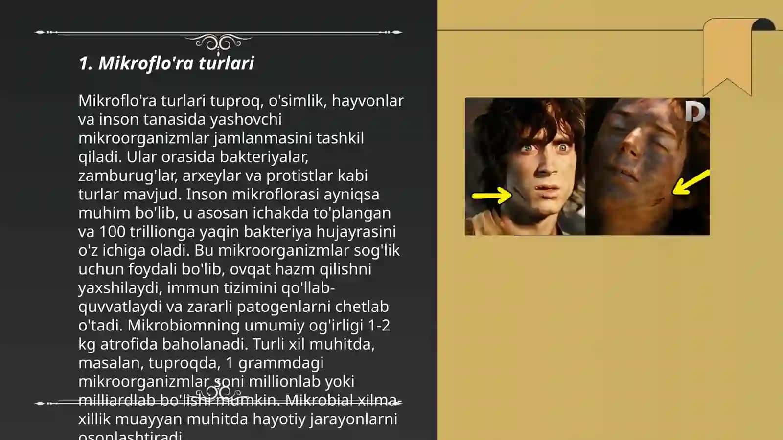 Mikroorganizmlarning suvda tarqalishi 3
