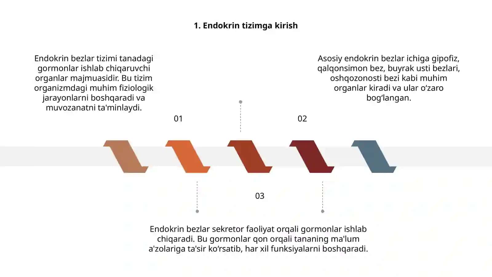 Endokrin bezlar tizimi 3
