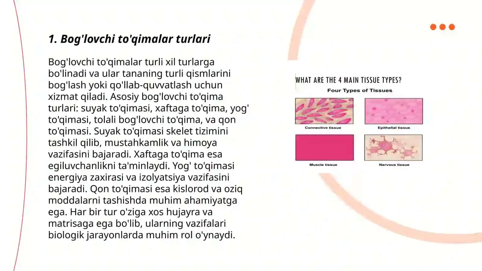 Bog'lovchi to'qimalar turlari 3