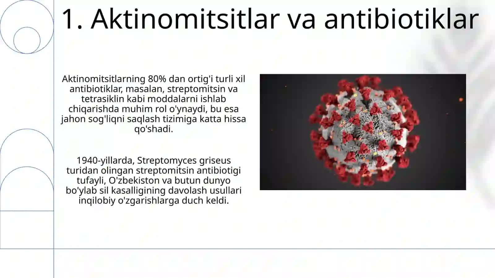 Aktinomitsetlar va ularga yaqin organizmlar 3