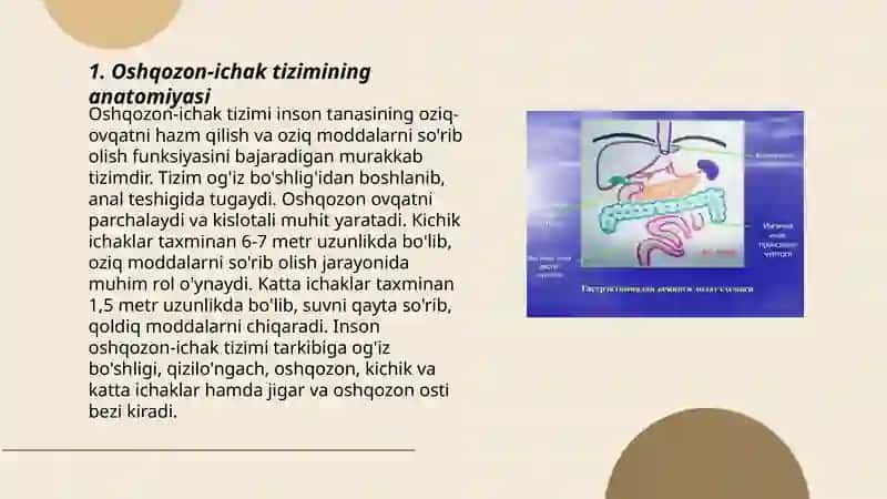 Oshqozon ichak tizimi kasaliklari 3