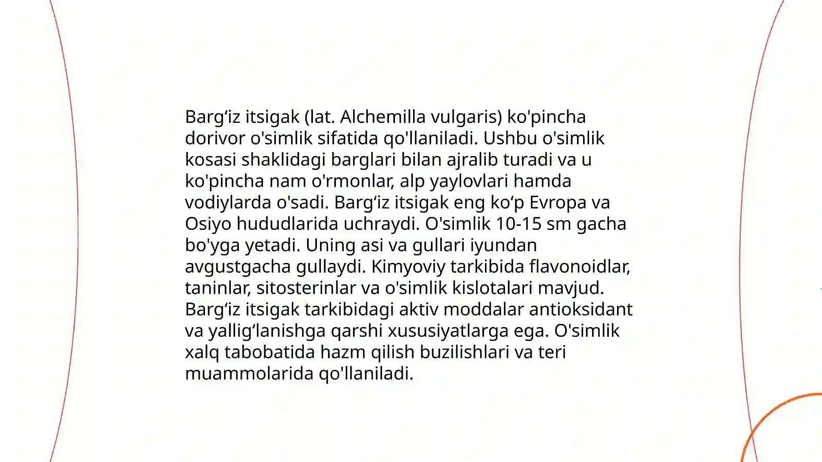 Bargʻiz itsigak 3