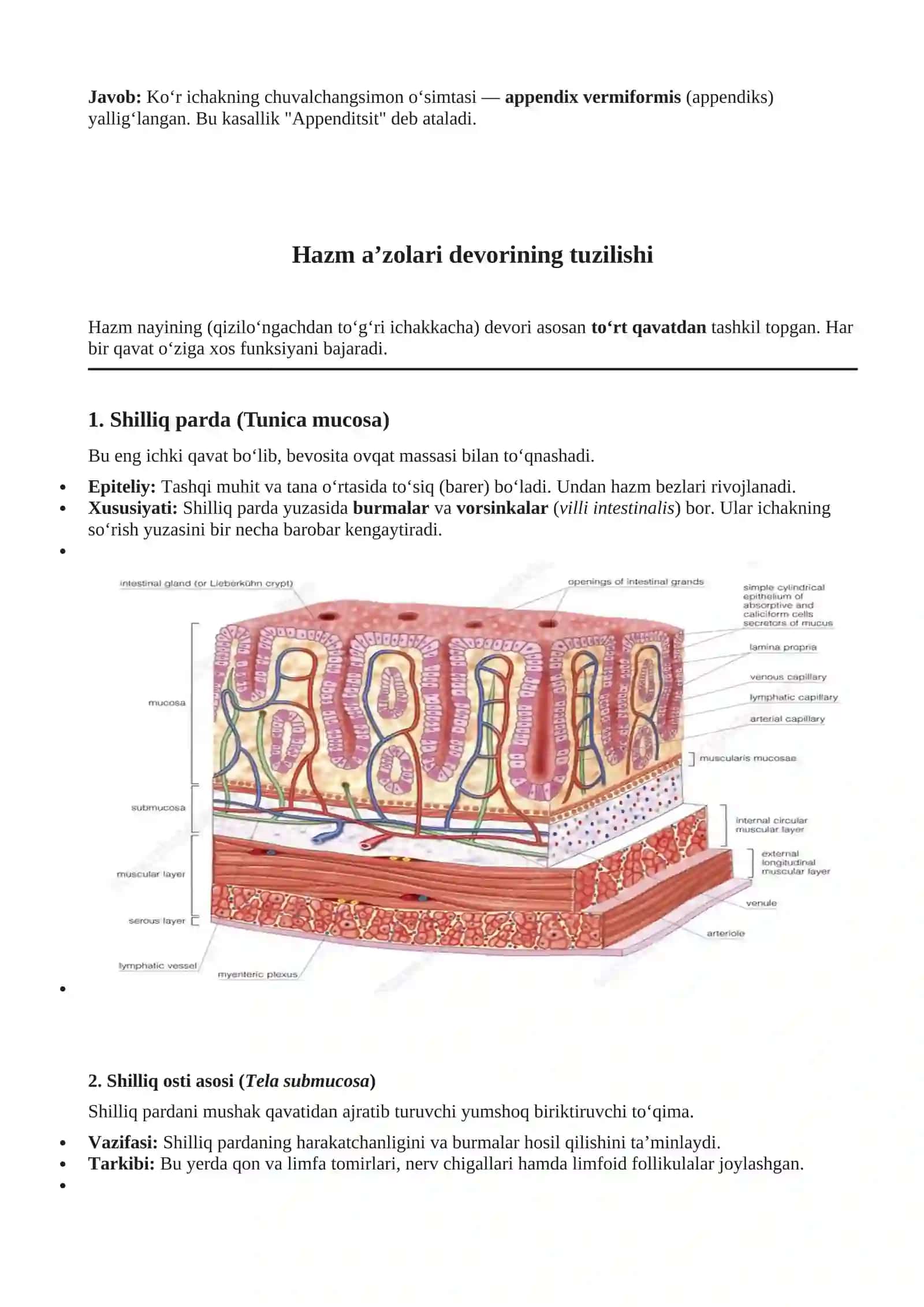 Hazm qilish tizimi (Systema digestorium) 3