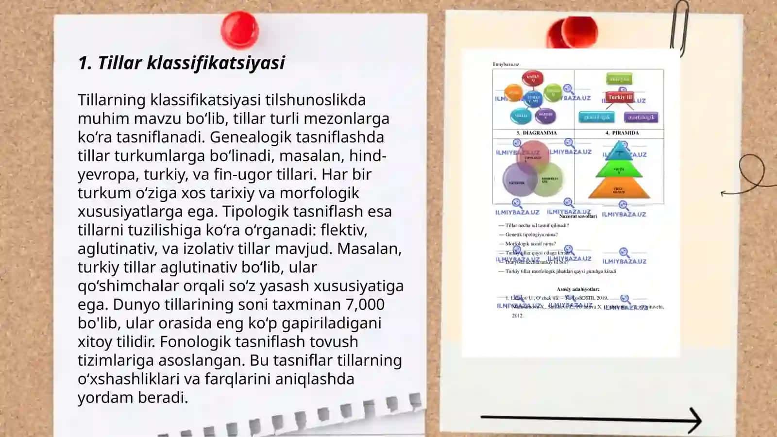 Tillar tipologiyasi 3